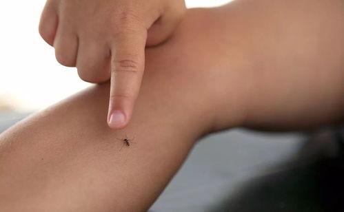 瘙痒胳肢视频,痒到极致！揭秘胳肢视频的疯狂魅力