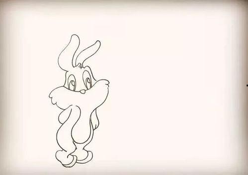 兔子简笔画视频,轻松绘制可爱兔子